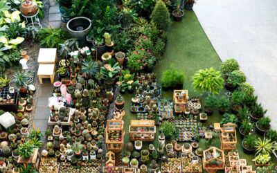 Terakota w ogrodzie: Twórz piękne aranżacje z naturalnym urokiem